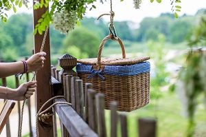 Apéritif basket in a Tree House 