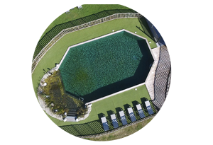 vue aérienne drone de la piscine naturelle au Domaine EcÔtelia hébergement insolite