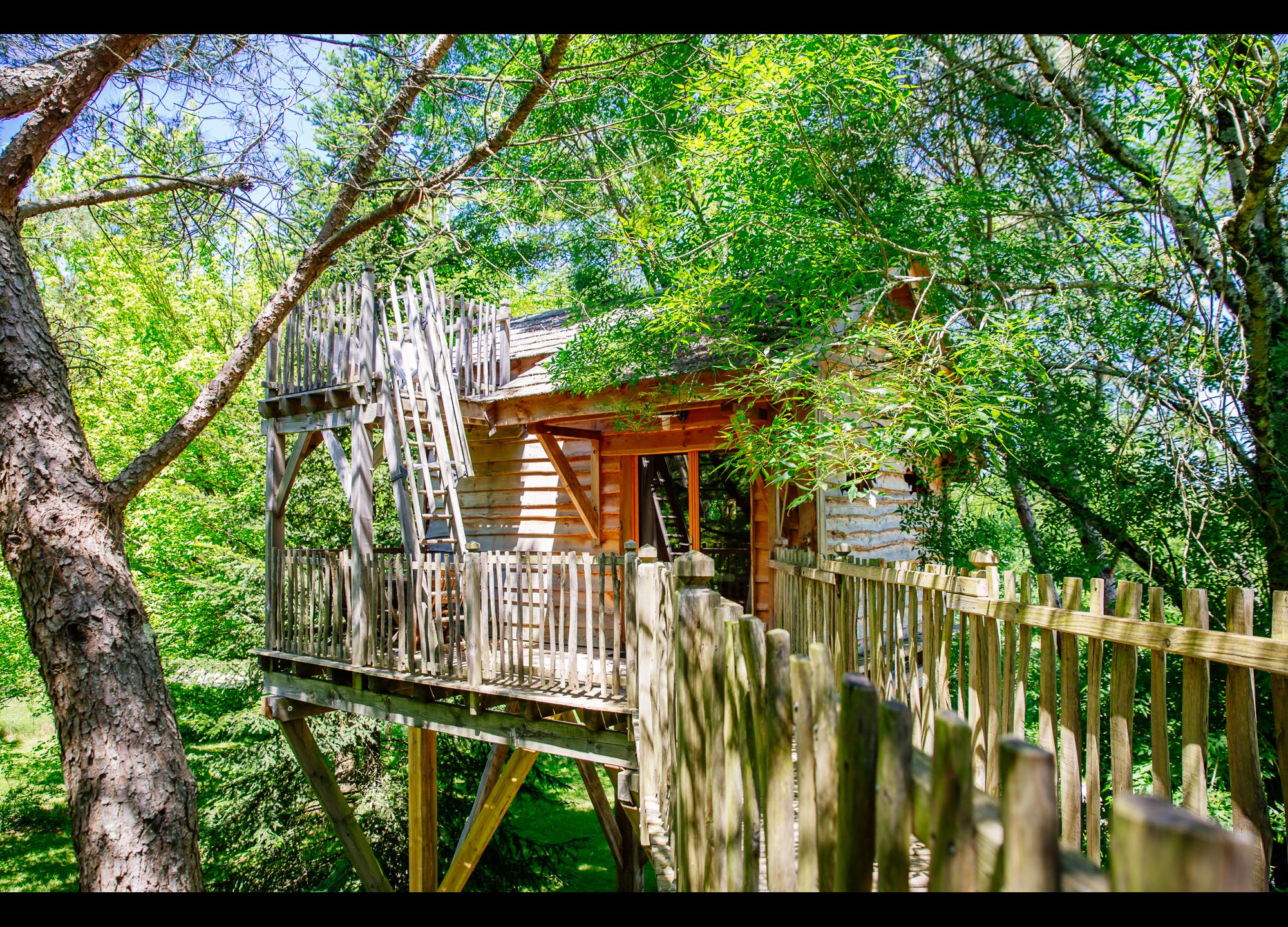 Cabane dans les arbres familiale