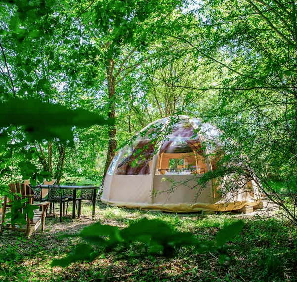 bulle nuit insolite bulle nuit insolite