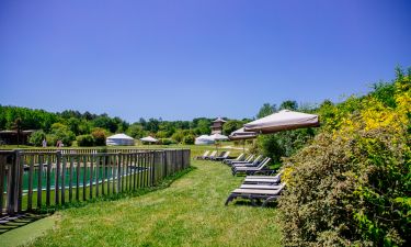 Nos packs Activit&eacute;s & Services