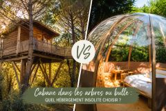 Cabane dans les arbres ou bulle : quel hébergement insolite choisir ?