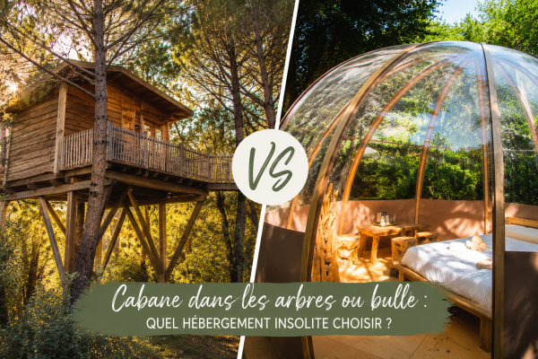 Cabane dans les arbres ou bulle : quel hébergement insolite choisir ?
