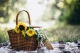 Panier Repas Enfant - 2 pers