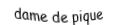 Je suis une carte à jouer. Je suis entre le valet et le roi, je suis noir mais pas de trefle.